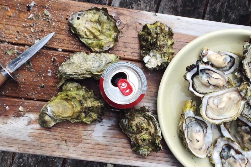 The Ultimate Guide to Choosing the Best Oyster Knife