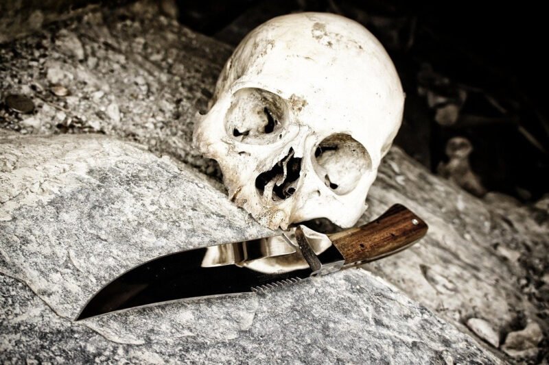 Expert Tips for Using a Boning and Fillet Combo Knife