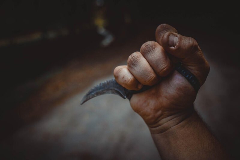 Top 10 Karambit Styles for Collectors and Enthusiasts